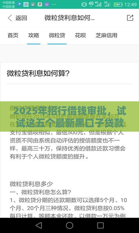 2025年招行借钱审批，试试这五个最新黑口子贷款秒过的口子