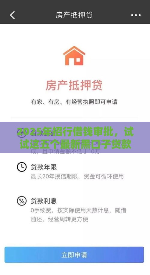 2025年招行借钱审批，试试这五个最新黑口子贷款秒过的口子