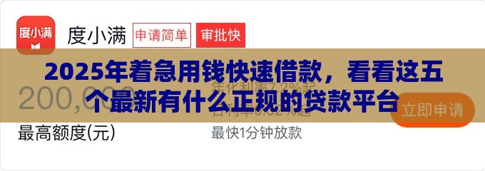 2025年着急用钱快速借款，看看这五个最新有什么正规的贷款平台