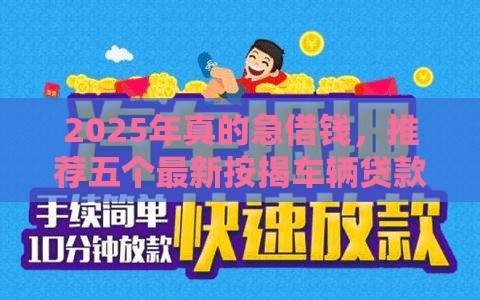 2025年真的急借钱，推荐五个最新按揭车辆贷款平台