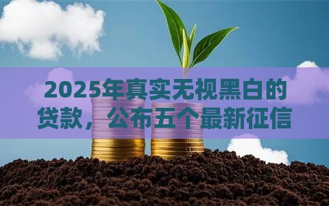 2025年真实无视黑白的贷款，公布五个最新征信花了也能借钱的正规平台