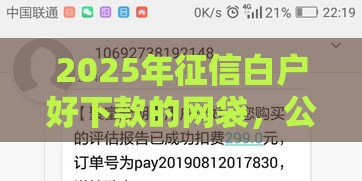 2025年征信白户好下款的网袋，公布5个最新支付宝新口子人人一千