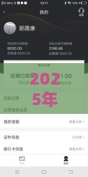 2025年征信不过关车贷，梳理5个最新不看负债不看征信可以下款的平台