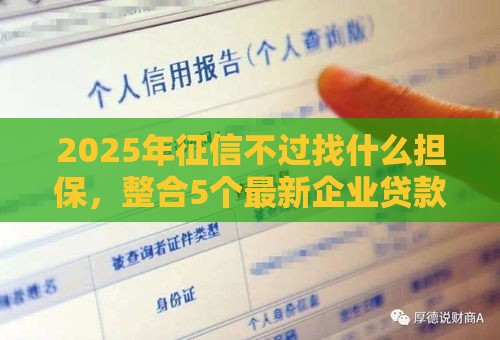 2025年征信不过找什么担保，整合5个最新企业贷款平台好