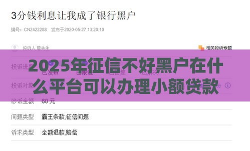 2025年征信不好黑户在什么平台可以办理小额贷款，梳理五个最新黑户花户能秒下款的平台