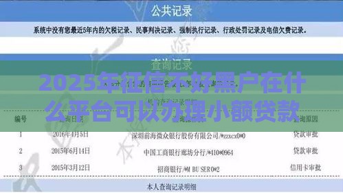 2025年征信不好黑户在什么平台可以办理小额贷款，梳理五个最新黑户花户能秒下款的平台
