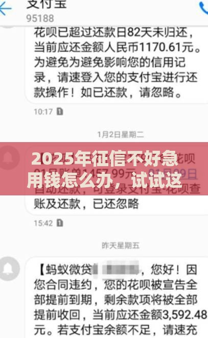 2025年征信不好急用钱怎么办，试试这5个最新网贷全拒了还能撸的口子