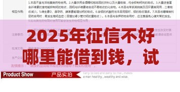 2025年征信不好哪里能借到钱，试试这5个最新黑户也能借款的网贷平台