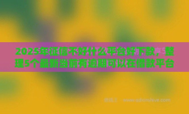 2025年征信不好什么平台好下款，整理5个最新当前有逾期可以在借款平台借钱