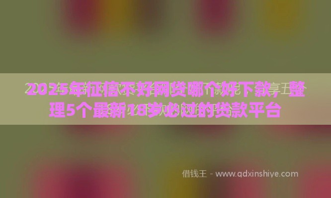 2025年征信不好网贷哪个好下款，整理5个最新18岁必过的贷款平台