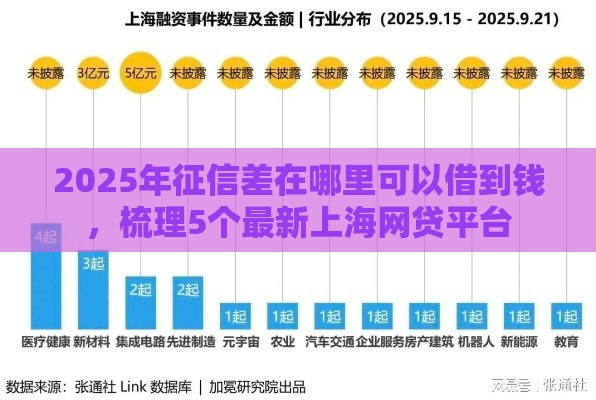 2025年征信差在哪里可以借到钱，梳理5个最新上海网贷平台