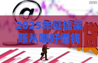 2025年征信呆账从哪好借钱,推荐五个最新正规网贷平台 2025年征信呆账从哪好借钱,推荐五个最新正规网贷平台