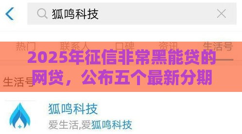 2025年征信非常黑能贷的网贷，公布五个最新分期贷款平台好