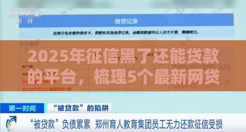 2025年征信黑了还能贷款的平台，梳理5个最新网贷平台利息