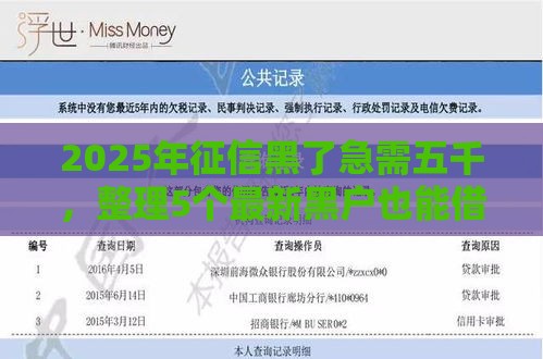 2025年征信黑了急需五千，整理5个最新黑户也能借款的网贷平台