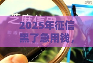 2025年征信黑了急用钱，整理五个最新信用飞类似的口子