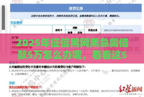 2025年征信黑网黑急需借款5万怎么办呢，看看这5个最新2025高炮必过口子秒下款