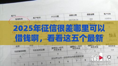 2025年征信很差哪里可以借钱啊，看看这五个最新花户黑户秒下的口子