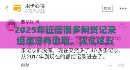 2025年征信很多网贷记录但是没有逾期，试试这五个最新和拍拍贷一样容易借钱的平台