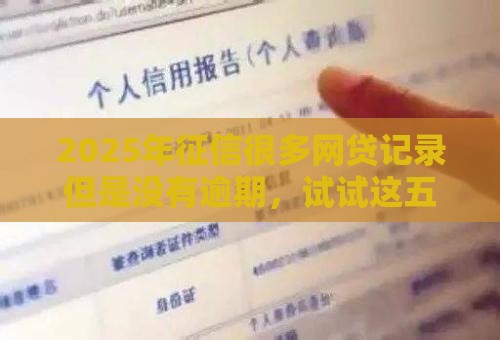2025年征信很多网贷记录但是没有逾期，试试这五个最新和拍拍贷一样容易借钱的平台