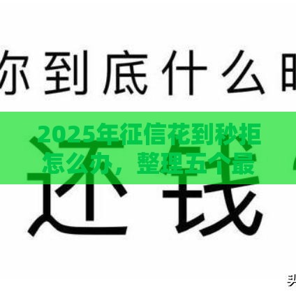 2025年征信花到秒拒怎么办，整理五个最新什么借钱平台好通过