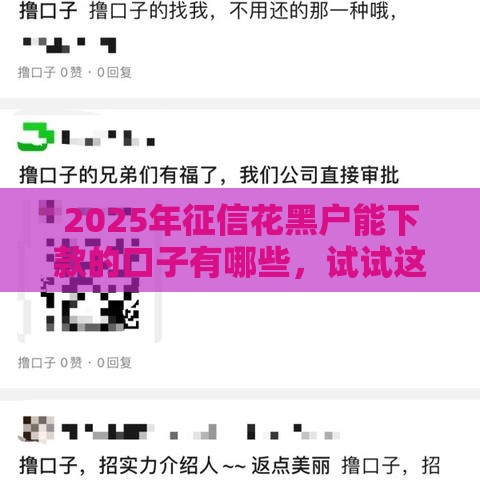 2025年征信花黑户能下款的口子有哪些，试试这5个最新16岁可以贷款的平台