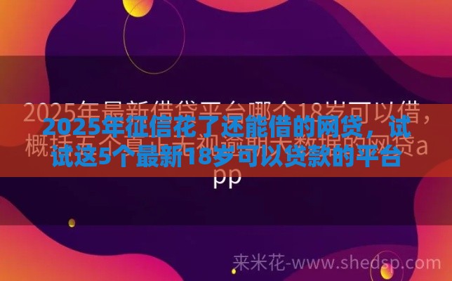 2025年征信花了还能借的网贷，试试这5个最新18岁可以贷款的平台