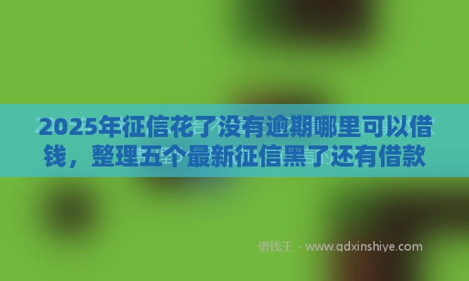 2025年征信花了没有逾期哪里可以借钱，整理五个最新征信黑了还有借款平台可以借钱