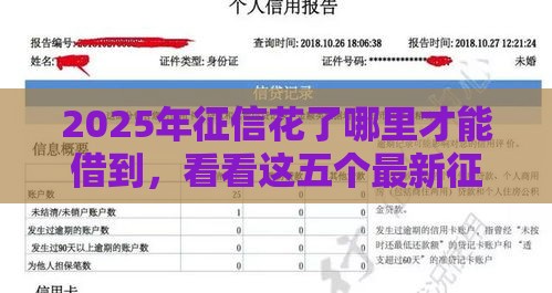 2025年征信花了哪里才能借到，看看这五个最新征信黑户口子能贷款