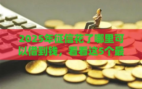 2025年征信花了哪里可以借到钱，看看这5个最新贷款平台正规