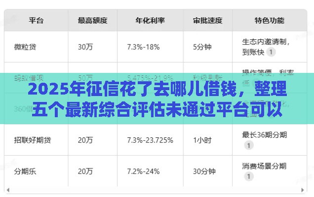 2025年征信花了去哪儿借钱，整理五个最新综合评估未通过平台可以借钱