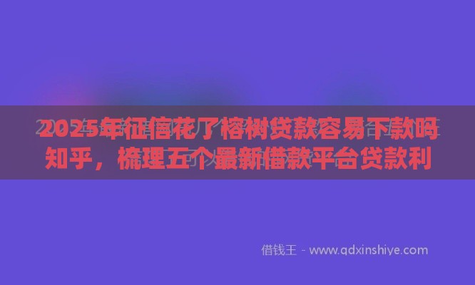 2025年征信花了榕树贷款容易下款吗知乎，梳理五个最新借款平台贷款利息又低又正规