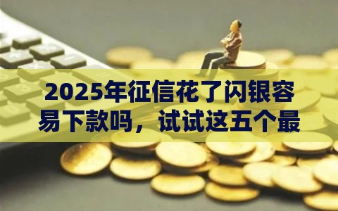 2025年征信花了闪银容易下款吗，试试这五个最新借款平台贷款不看征信