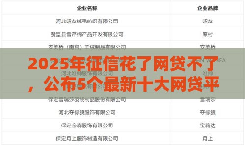 2025年征信花了网贷不了，公布5个最新十大网贷平台排名不分先后