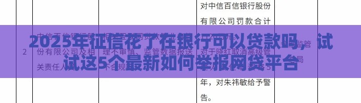 2025年征信花了在银行可以贷款吗，试试这5个最新如何举报网贷平台