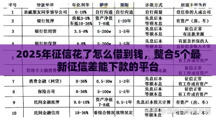 2025年征信花了怎么借到钱，整合5个最新征信差能下款的平台