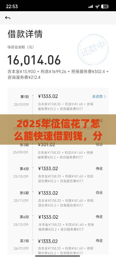 2025年征信花了怎么能快速借到钱，分享5个最新2025年哪些借款平台不查征信大数据