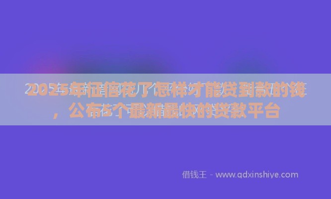 2025年征信花了怎样才能贷到款的钱，公布5个最新最快的贷款平台