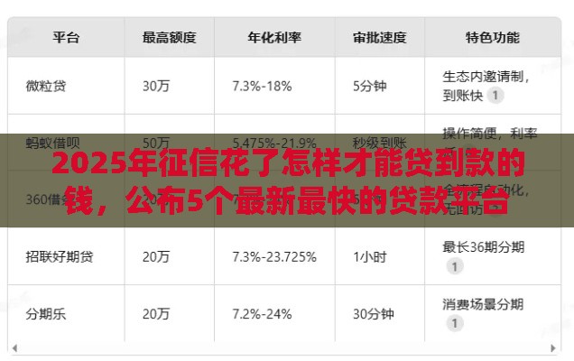 2025年征信花了怎样才能贷到款的钱，公布5个最新最快的贷款平台