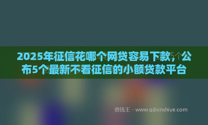 2025年征信花哪个网贷容易下款，公布5个最新不看征信的小额贷款平台