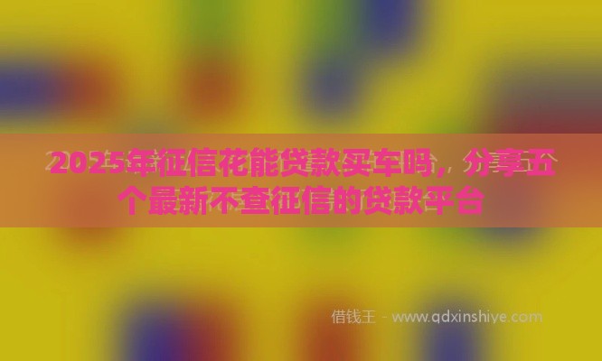 2025年征信花能贷款买车吗，分享五个最新不查征信的贷款平台
