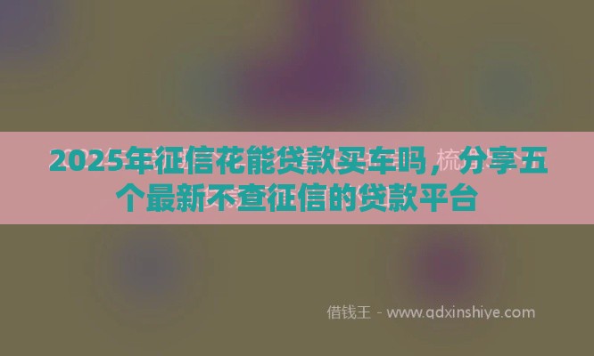 2025年征信花能贷款买车吗，分享五个最新不查征信的贷款平台
