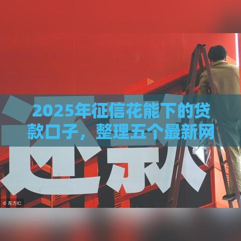 2025年征信花能下的贷款口子，整理五个最新网贷通过率高的平台
