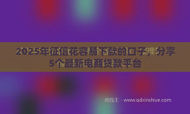 2025年征信花容易下款的口子，分享5个最新电商贷款平台