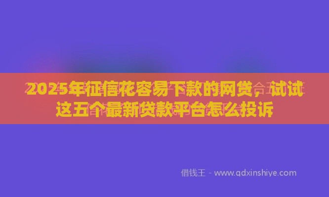 2025年征信花容易下款的网贷，试试这五个最新贷款平台怎么投诉