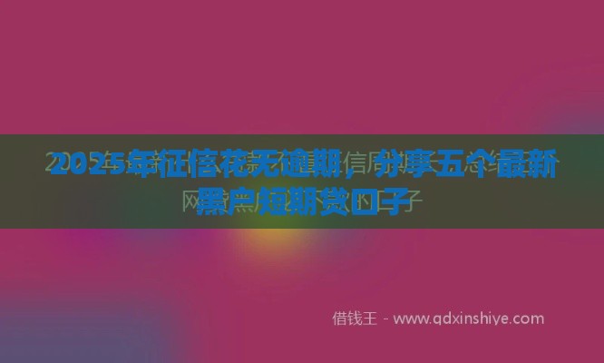 2025年征信花无逾期，分享五个最新黑户短期贷口子