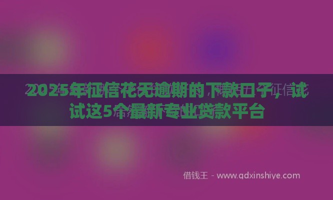 2025年征信花无逾期的下款口子，试试这5个最新专业贷款平台