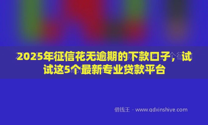 2025年征信花无逾期的下款口子，试试这5个最新专业贷款平台