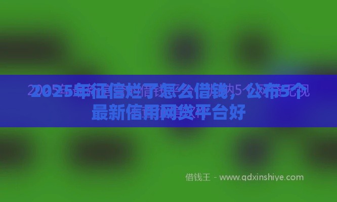 2025年征信烂了怎么借钱，公布5个最新信用网贷平台好