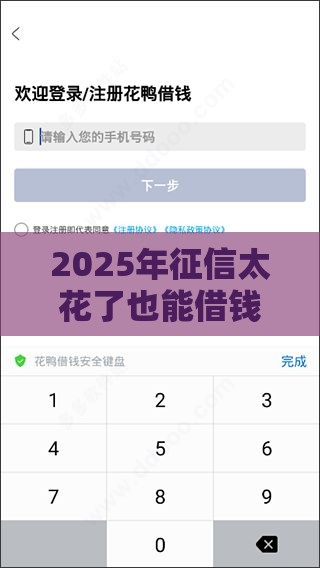 2025年征信太花了也能借钱的平台，看看这五个最新平台借钱正规